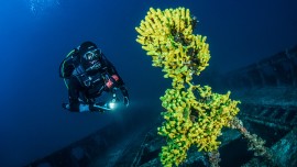 Deep diving course easydivers dive center albufeira