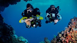 Dive Guide Easydivers albufeira algarve
